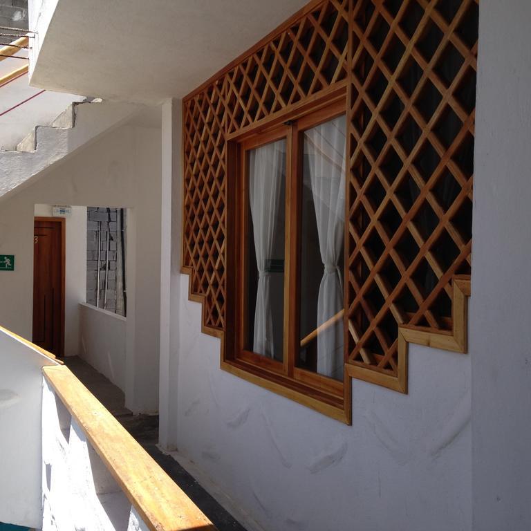 Galapagos Native Hostel Puerto Ayora  Room photo